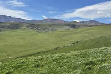  Prestons Road, Kyeburn