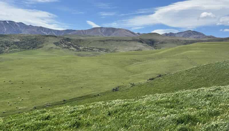  Prestons Road, Kyeburn