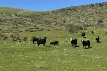  Prestons Road, Kyeburn