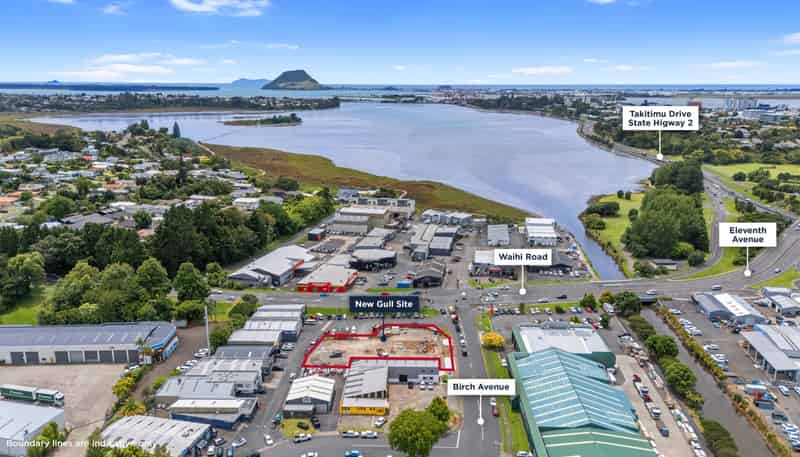 15 Birch Avenue, Judea