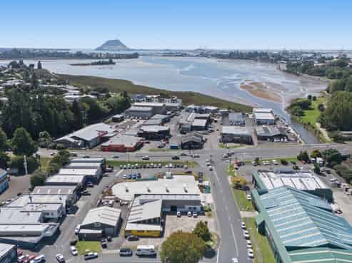 15 Birch Avenue, Judea