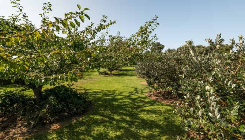 10A Bridgman Lane, Tanners Point, Katikati