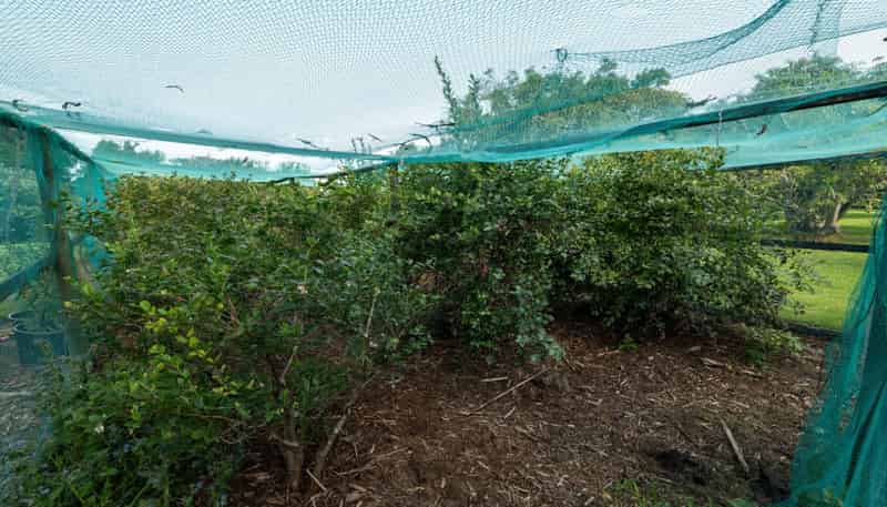 10A Bridgman Lane, Tanners Point, Katikati