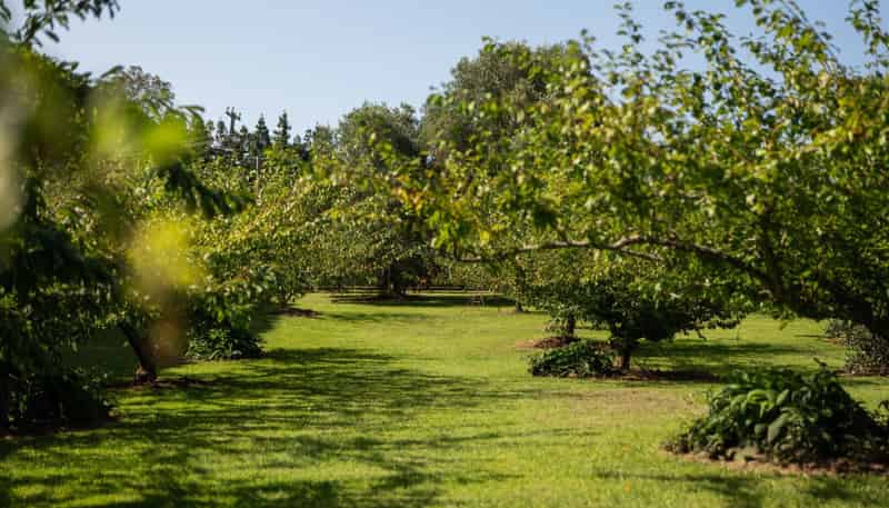 10A Bridgman Lane, Tanners Point, Katikati