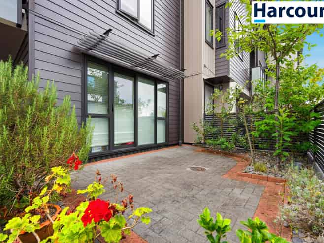 10 Harold Street, Mount Eden