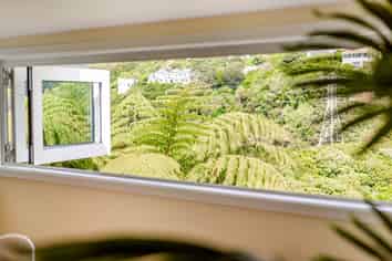 20 Putnam Street, Northland