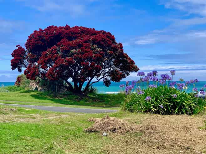 Lot 2 DP 568079, Sirrah Street, Okitu