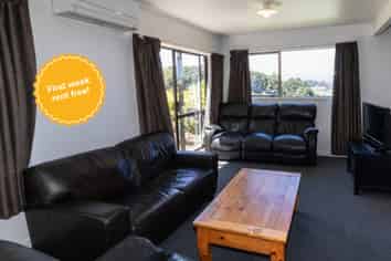 134A Raroa Road (Front Flat), Aro Valley