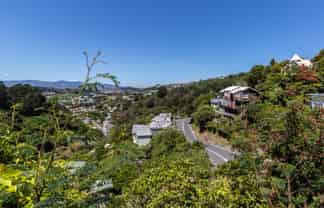 134A (Front Flat) Raroa Road, Aro Valley