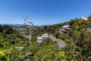 134A Raroa Road (Front Flat), Aro Valley
