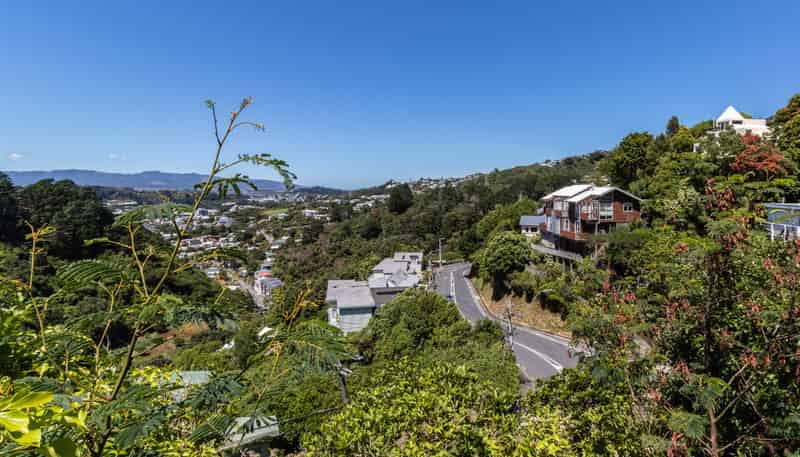 134A (Front Flat) Raroa Road, Aro Valley