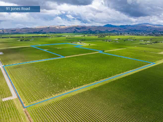 92 Lower Wairau Road, Grovetown