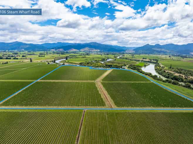 92 Lower Wairau Road, Grovetown