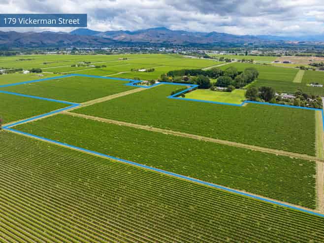 92 Lower Wairau Road, Grovetown