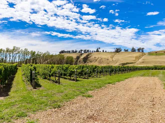 Seaview Road, Seddon