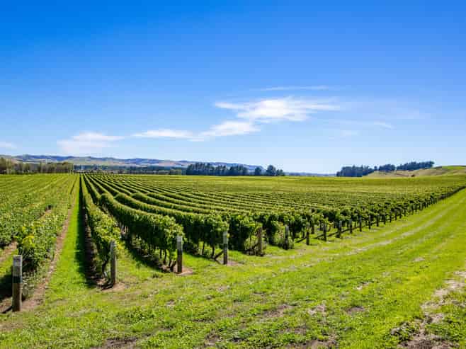 Seaview Road, Seddon