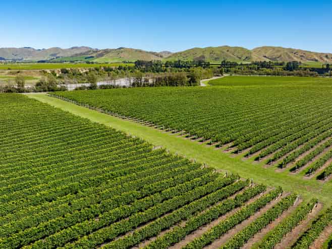 Seaview Road, Seddon