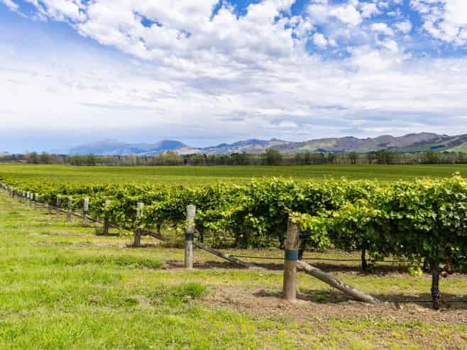 Seaview Road, Seddon