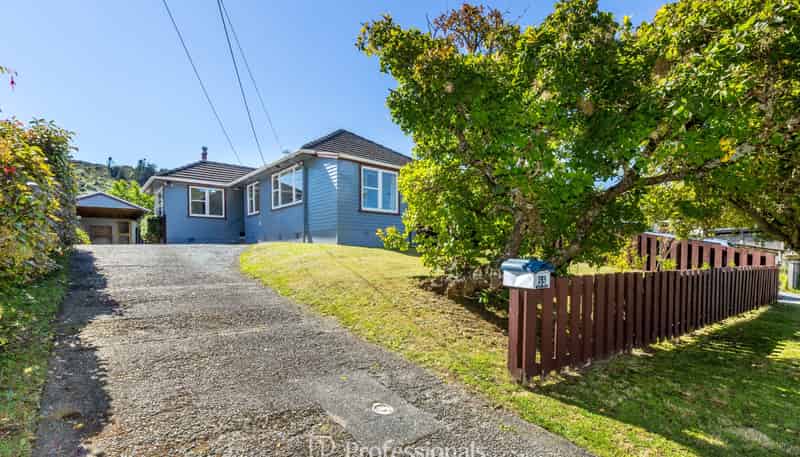 55 Black Beech Street, Birchville