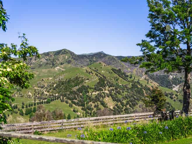 1169 Ruakaka Road, Tiniroto