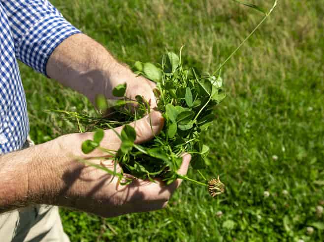 1343 Wharerata Road, Muriwai