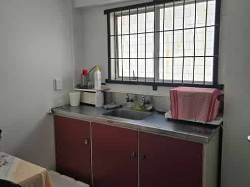 Put Your Business Where Rotorua Walks!