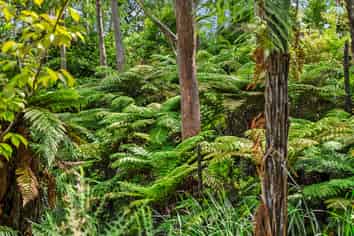 Lot 1/27 Riddell Road, Kerikeri