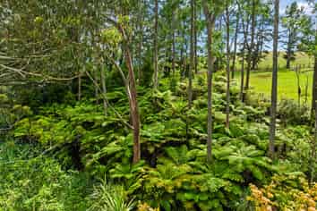 Lot 1/27 Riddell Road, Kerikeri