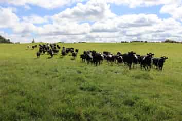 1 Waitaanga Road, Ahititi