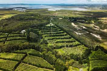 377 Paparore Road, Kaitaia