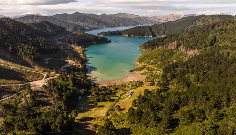 528 Oyster Bay, Queen Charlotte Sound