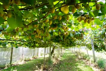 457 Whatitiri Road, Poroti