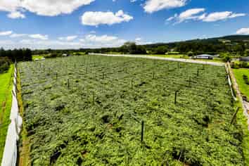 457 Whatitiri Road, Poroti