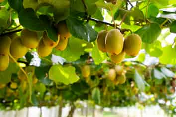 457 Whatitiri Road, Poroti