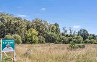 2705 Waikouaiti-Waitati Road, Waikouaiti