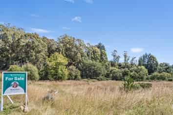 2705 Waikouaiti-Waitati Road, Waikouaiti