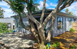 6C Fleming Street, Manurewa East