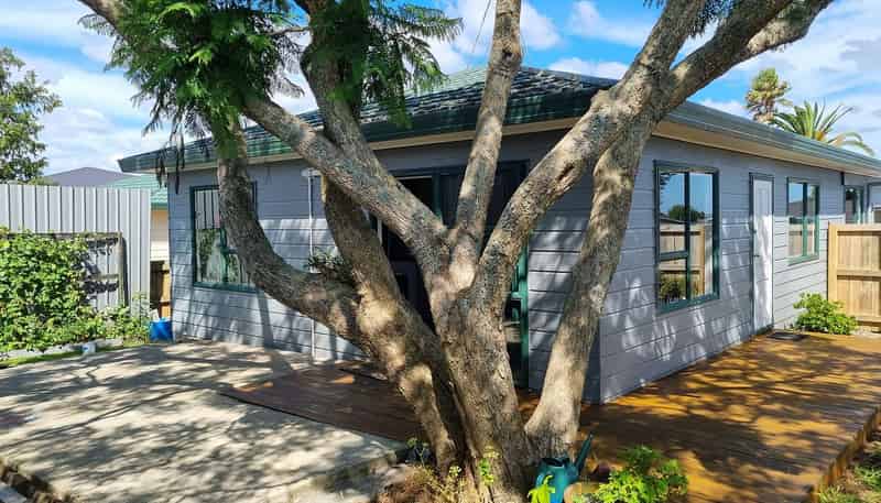 6C Fleming Street, Manurewa East