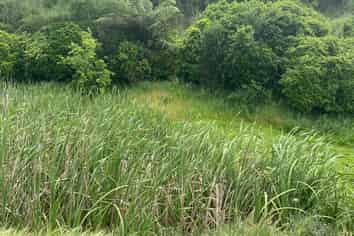 167 Wilson Road, Patea