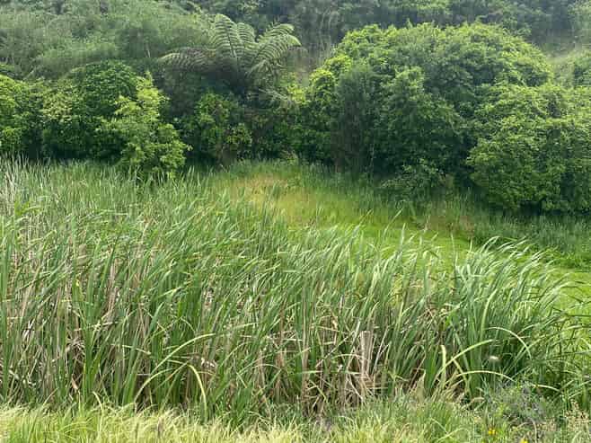 167 Wilson Road, Patea