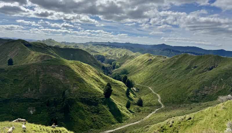 213 Parihauhau Road, Parikino