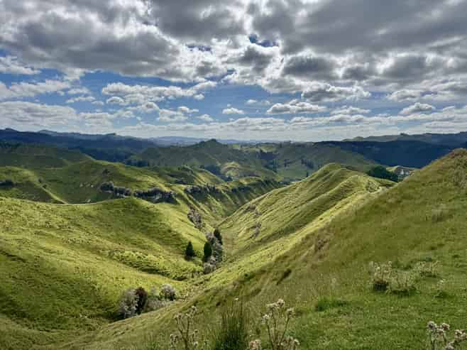 213 Parihauhau Road, Parikino