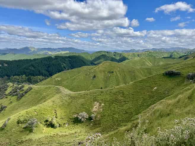 213 Parihauhau Road, Parikino