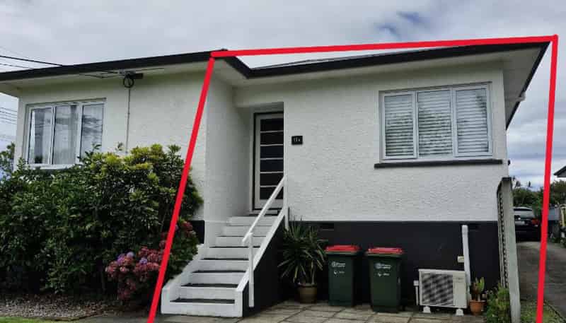 11A Selwyn Street, Vogeltown