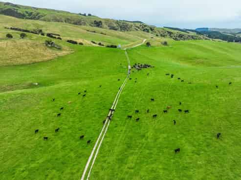 48 Heathfield Road, Greta Valley