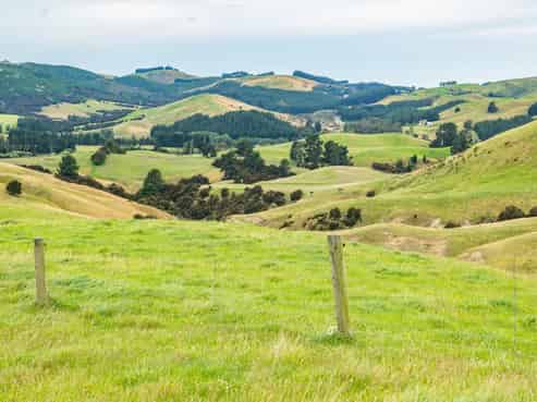 48 Heathfield Road, Greta Valley