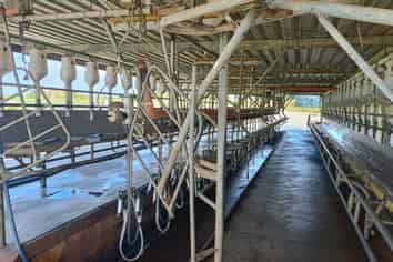 331 Kneebone Road, Morrinsville