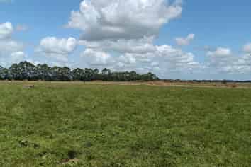 331 Kneebone Road, Morrinsville