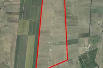 331 Kneebone Road, Morrinsville