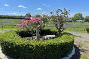 367 Glenbrook Road, Kingseat